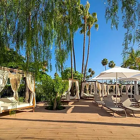 Hotel Barcelo Margaritas Royal Level Adults Only 4*